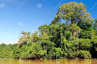 《斗仙界》0.1折手游新體驗 爽快世界，代理開發(fā)新機(jī)遇